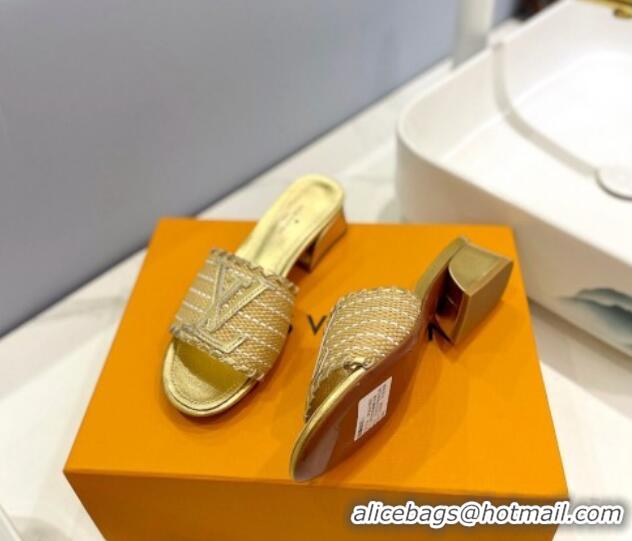 Good Product Louis Vuitton Starboard Heel Slide Sandal 4cm in LV Raffia and Leather Gold 427113