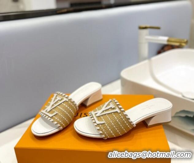 Unique Style Louis Vuitton Starboard Heel Slide Sandal 4cm in LV Raffia and Leather White 427114