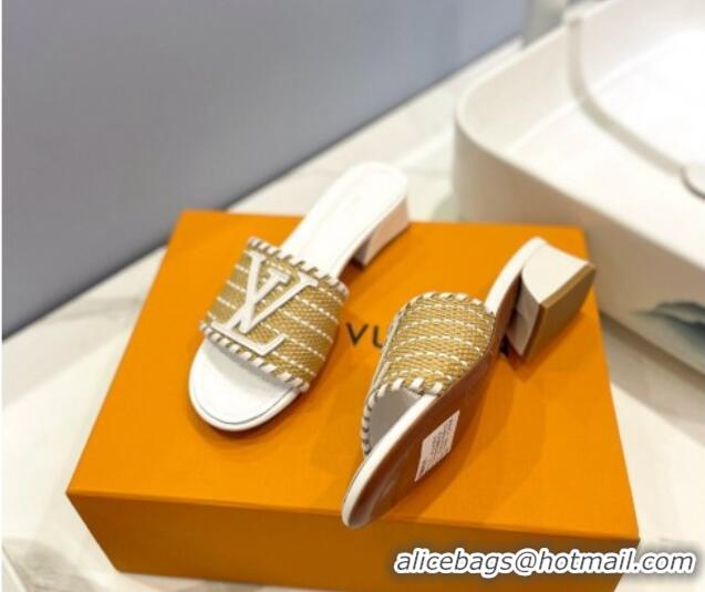 Unique Style Louis Vuitton Starboard Heel Slide Sandal 4cm in LV Raffia and Leather White 427114