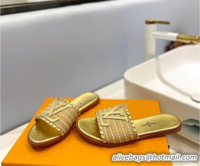 Good Quality Louis Vuitton Starboard Flat Slide Sandal in LV Raffia and Leather Gold 427117