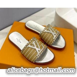 Durable Louis Vuitton Starboard Flat Slide Sandal in LV Raffia and Leather Silver 0427121