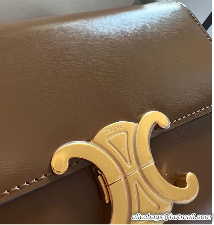 Reasonable Price Celine TEEN TRIOMPHE BAG IN SHINY CALFSKIN LIMESTONE 188423 khaki