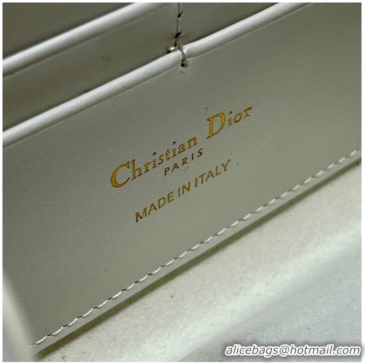 Buy Inexpensive DIOR BOBBY EAST-WEST POUCH WITH CHAIN Smooth Calfskin S5703UBP Latte