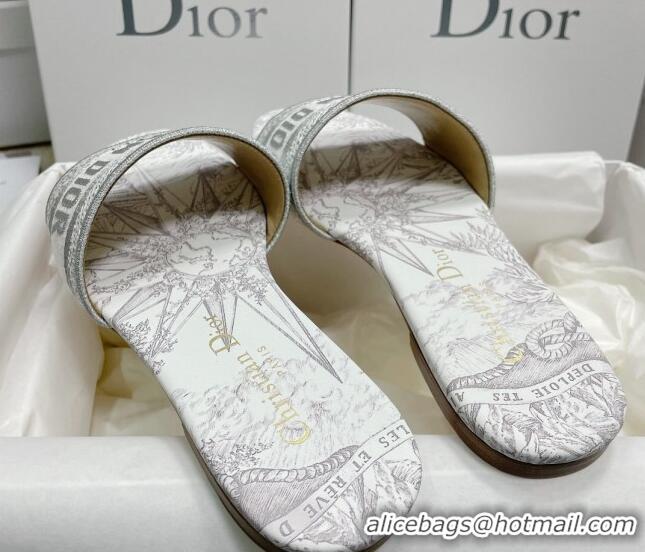 Sophisticated Dior Dway Flat Slides in White and Grey Cotton with Reve d'Infini Embroidery 022302