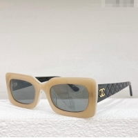 Popular Style Chanel Sunglasses CH3806 2023