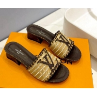 Most Popular Louis Vuitton Starboard Heel Slide Sandal 4cm in LV Raffia and Monogram Canvas 427111