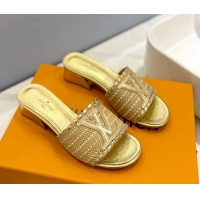 Good Product Louis Vuitton Starboard Heel Slide Sandal 4cm in LV Raffia and Leather Gold 427113