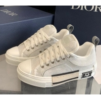 1:1 Dior BY ERL B23 Skater Sneakers in Light Grey Oblique Embroidered Cotton 022823