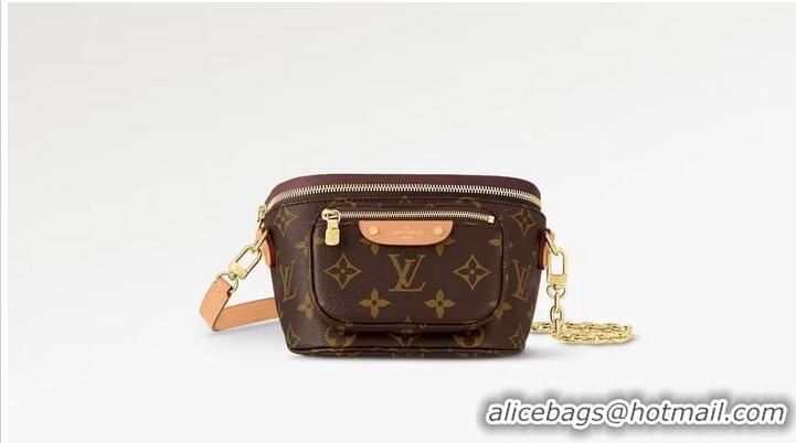 Traditional Discount Louis Vuitton Monogram Canvas Waist Bag M30120