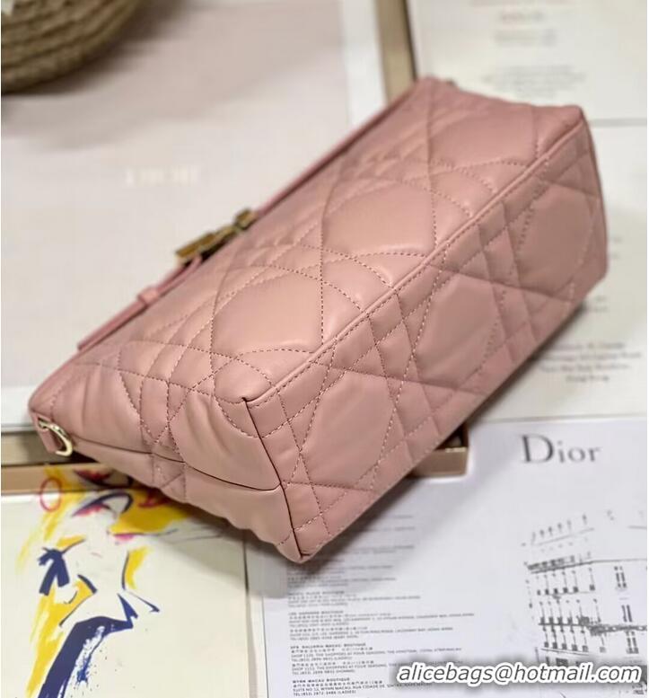 Traditional Specials MEDIUM DIORTRAVEL NOMAD POUCH Lambskin S5554O pink