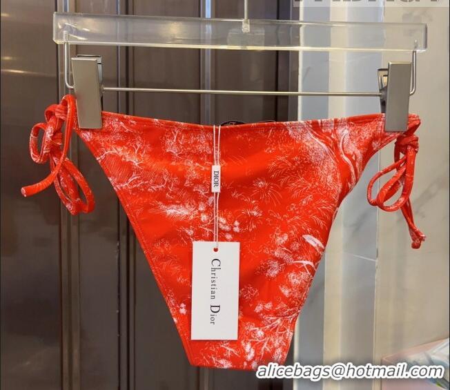 ​Most Popular Dior Toile de Jouy Two Pieces Swimwear D3116 Red 2023