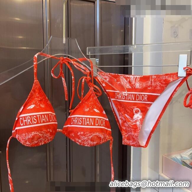 ​Most Popular Dior Toile de Jouy Two Pieces Swimwear D3116 Red 2023