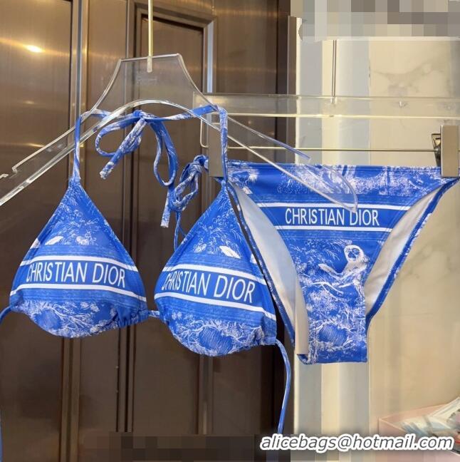 Buy Fashionable Dior Toile de Jouy Two Pieces Swimwear D3116 Blue 2023