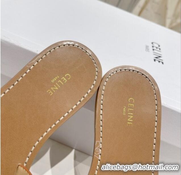 Grade Quality Celine Triomphe Leather Flat Slide Sandals Brown 022213