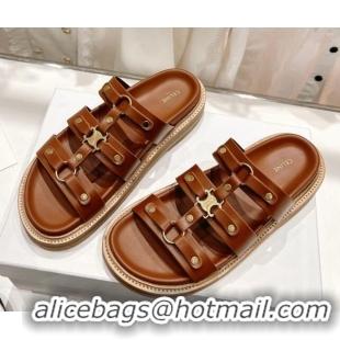 Pretty Style Celine Triomphe Flat Slide Sandals Brown 022704