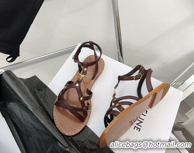 Sumptuous Celine Triomphe Leather Strap Flat Sandals Brown 331052