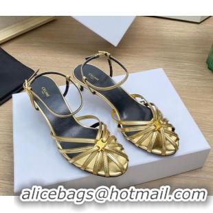 Good Quality Celine Triomphe Heel Sandals 4.5cm in Calf Leather Gold 331057