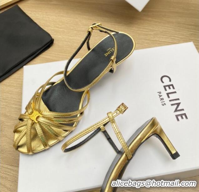 Good Quality Celine Triomphe Heel Sandals 4.5cm in Calf Leather Gold 331057