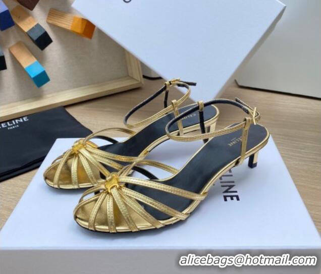 Good Quality Celine Triomphe Heel Sandals 4.5cm in Calf Leather Gold 331057