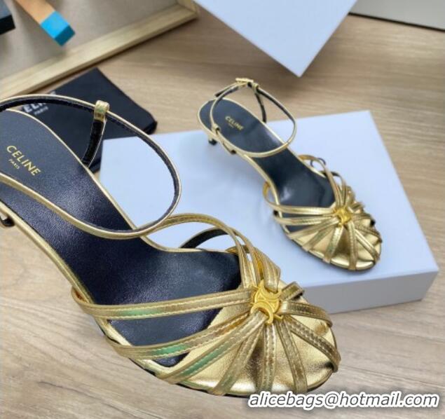 Good Quality Celine Triomphe Heel Sandals 4.5cm in Calf Leather Gold 331057