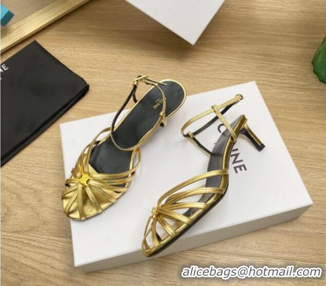 Good Quality Celine Triomphe Heel Sandals 4.5cm in Calf Leather Gold 331057