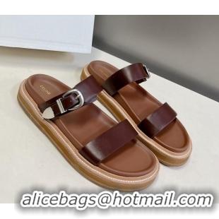 Purchase Celine Leather Slide Sandals with Buckle Dark Brown 619069