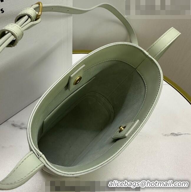 Top Quality Celine Mini Bucket Bag Triomphe in Smooth Calfskin 10L433 Light Green 2023