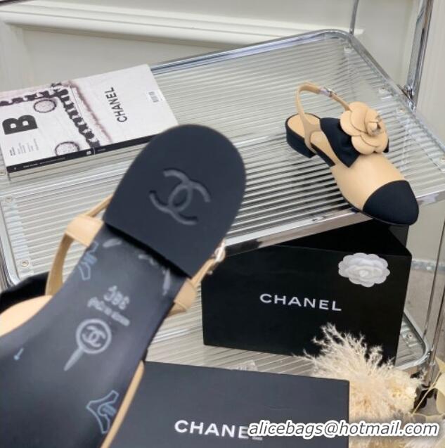 Stylish Chanel Calfskin Flats Shoes with Camellia Bloom Beige 505080