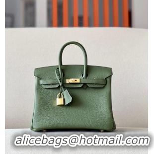 Promotional Hermes Birkin 25CM Bag Original Togo Leather 17888 Green