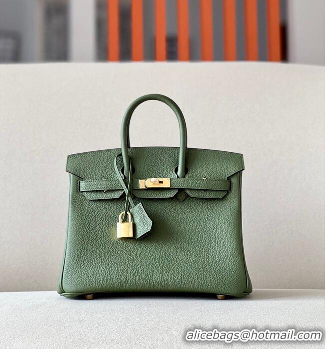 Promotional Hermes Birkin 25CM Bag Original Togo Leather 17888 Green