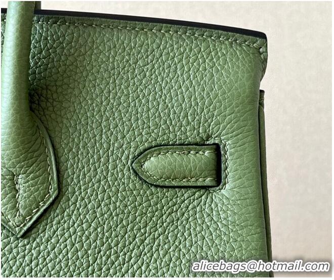 Promotional Hermes Birkin 25CM Bag Original Togo Leather 17888 Green