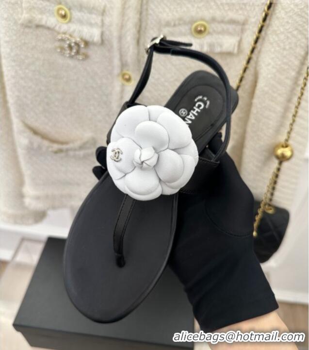 Top Design Chanel Calfskin Flat Thong Sandals with Camellia Bloom Black/White 525026