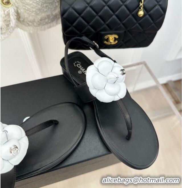 Top Design Chanel Calfskin Flat Thong Sandals with Camellia Bloom Black/White 525026