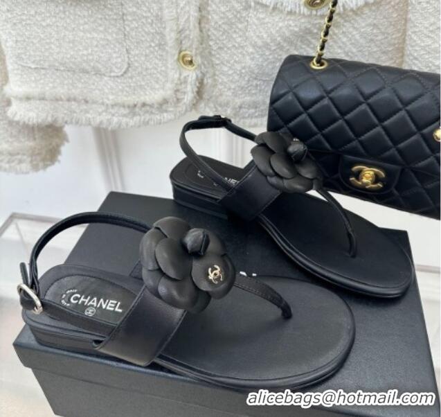 Durable Chanel Calfskin Flat Thong Sandals with Camellia Bloom Black 525027