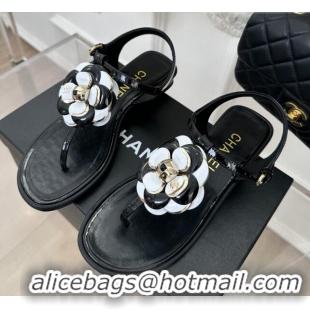 Popular Style Chanel Patent Leather Flat Thong Sandals with Camellia Bloom Black/White 525028