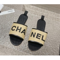 Unique Style Chanel Calfskin Flat Slide Sandals Beige 619115