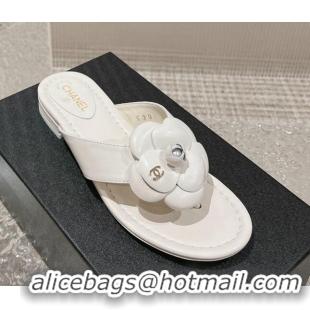 Purchase Chanel Suede & Fabric Sneakers Grey 719103