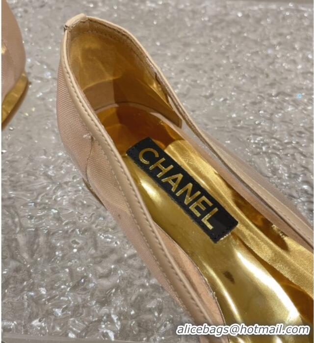 Pretty Style Chanel Mesh & Calfskin Ballet Flat with Bow Beige 802053