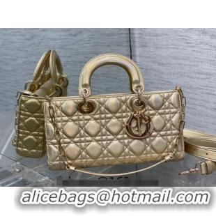 Popular Style Dior Medium Lady D-Joy Bag in Iridescent Cannage Leather CD7093 Gold 2023