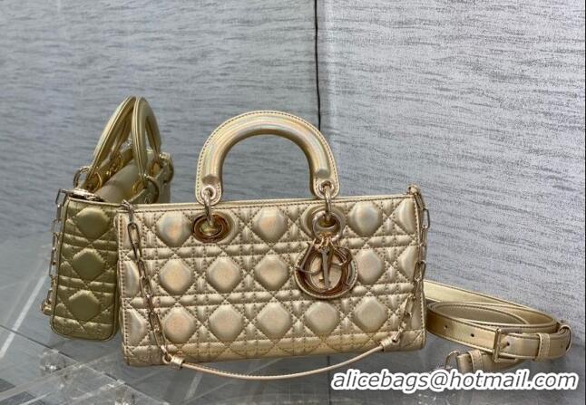 Popular Style Dior Medium Lady D-Joy Bag in Iridescent Cannage Leather CD7093 Gold 2023