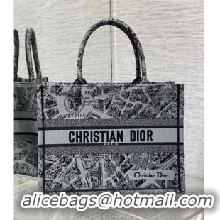 Pretty Style Dior Medium Book Tote Bag Bag in Plan de Paris Embroidery CD7108 Grey 2023