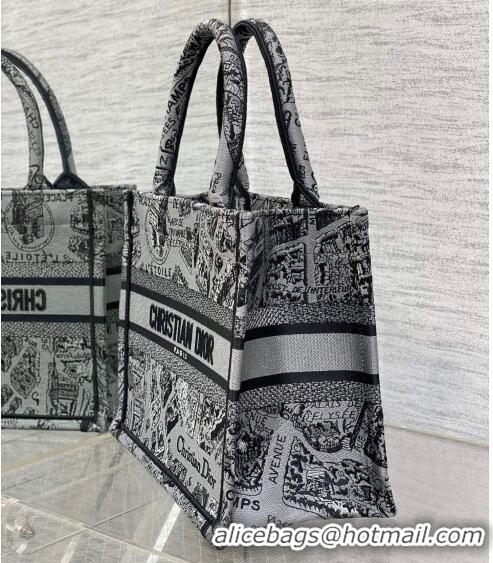 Super Quality Dior Small Book Tote Bag Bag in Plan de Paris Embroidery CD7109 Grey 2023