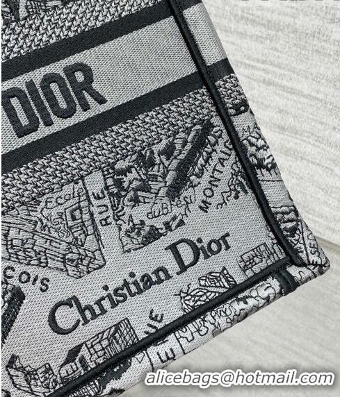 Super Quality Dior Small Book Tote Bag Bag in Plan de Paris Embroidery CD7109 Grey 2023