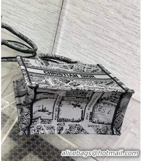 Super Quality Dior Small Book Tote Bag Bag in Plan de Paris Embroidery CD7109 Grey 2023