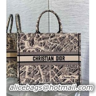 Well Crafted Dior Large Book Tote Bag Bag in Beige Plan de Paris Embroidery CD7107 Beige 2023