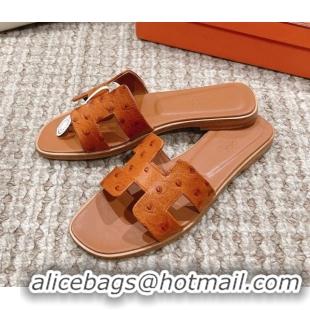 Best Product Hermes Classic Flat Slide Sandals in Ostrich Embossed Leather Brown 525158