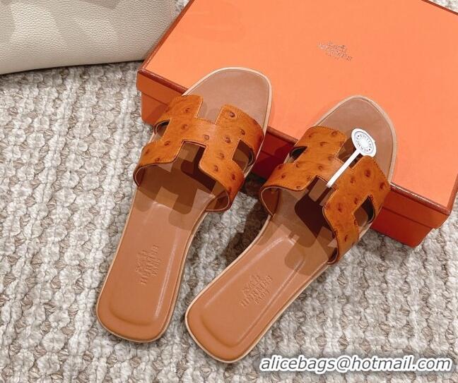 Best Product Hermes Classic Flat Slide Sandals in Ostrich Embossed Leather Brown 525158