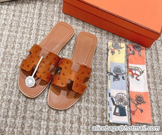 Best Product Hermes Classic Flat Slide Sandals in Ostrich Embossed Leather Brown 525158