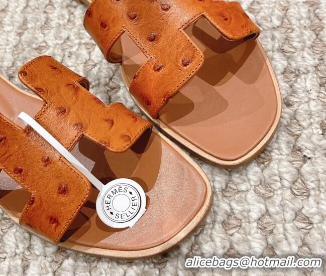 Best Product Hermes Classic Flat Slide Sandals in Ostrich Embossed Leather Brown 525158