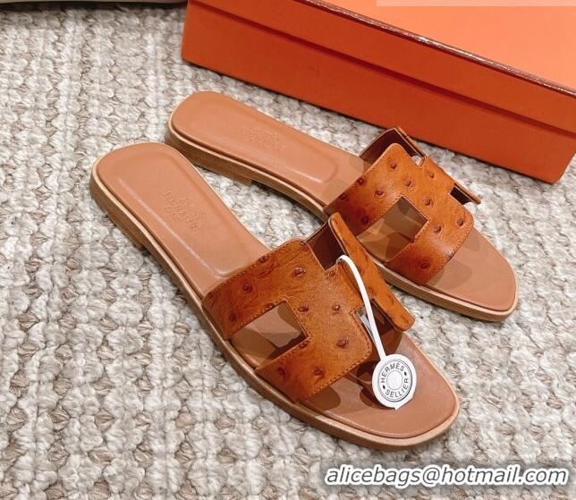 Best Product Hermes Classic Flat Slide Sandals in Ostrich Embossed Leather Brown 525158